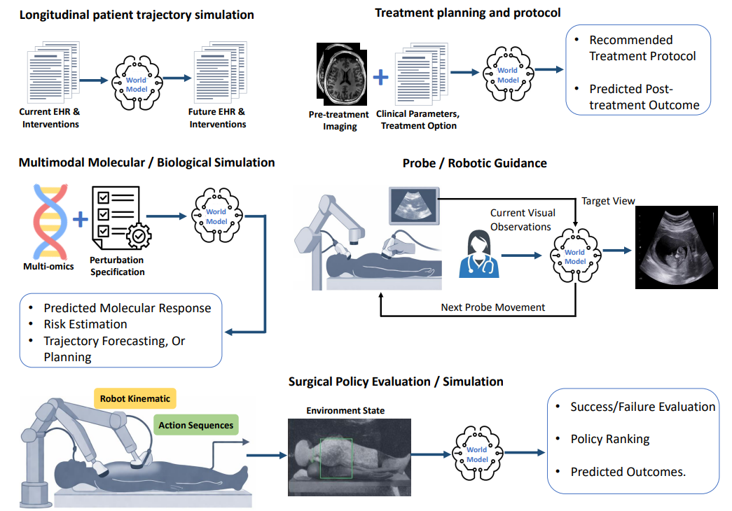 Medical world model applications