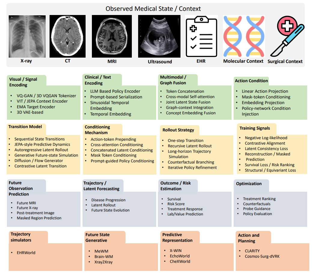 Medical world model taxonomy